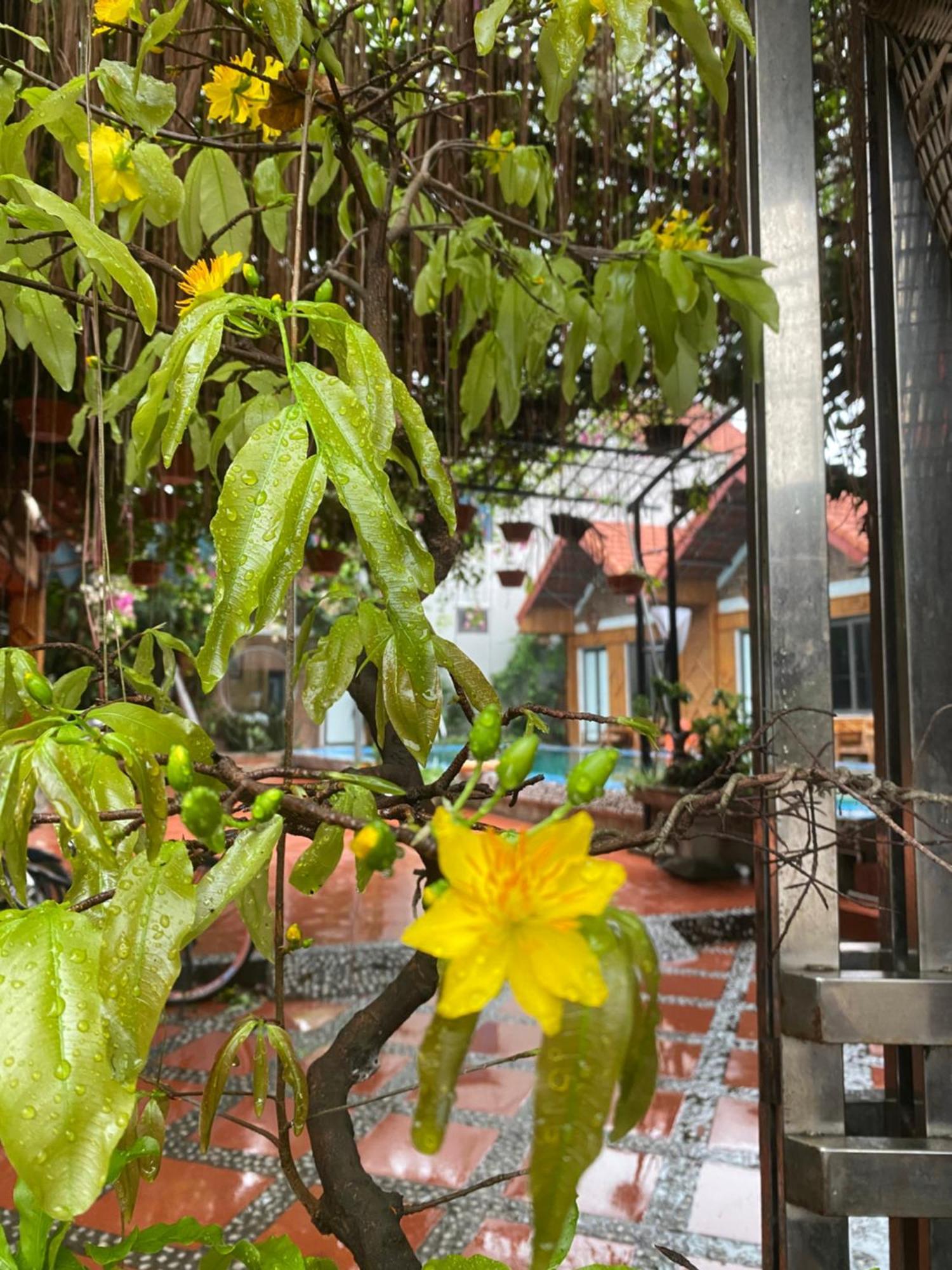 Tam Coc Charming Bungalow Ninh Binh Zewnętrze zdjęcie