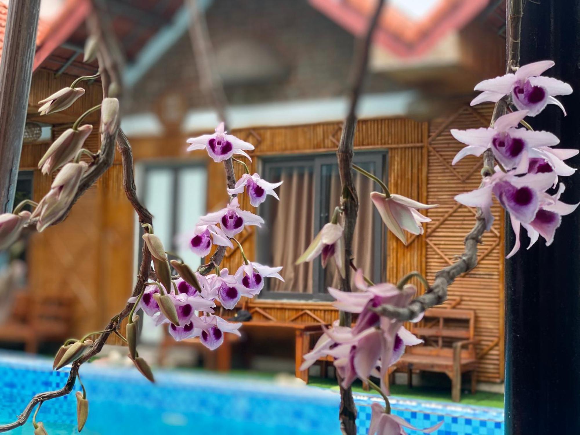 Tam Coc Charming Bungalow Ninh Binh Zewnętrze zdjęcie