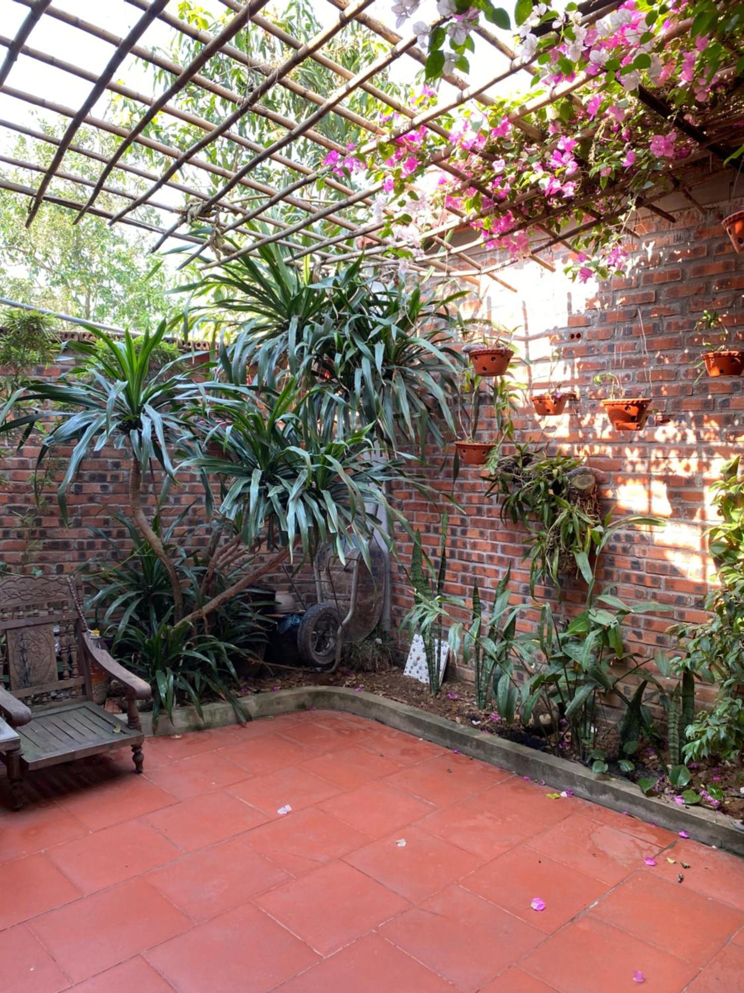 Tam Coc Charming Bungalow Ninh Binh Zewnętrze zdjęcie